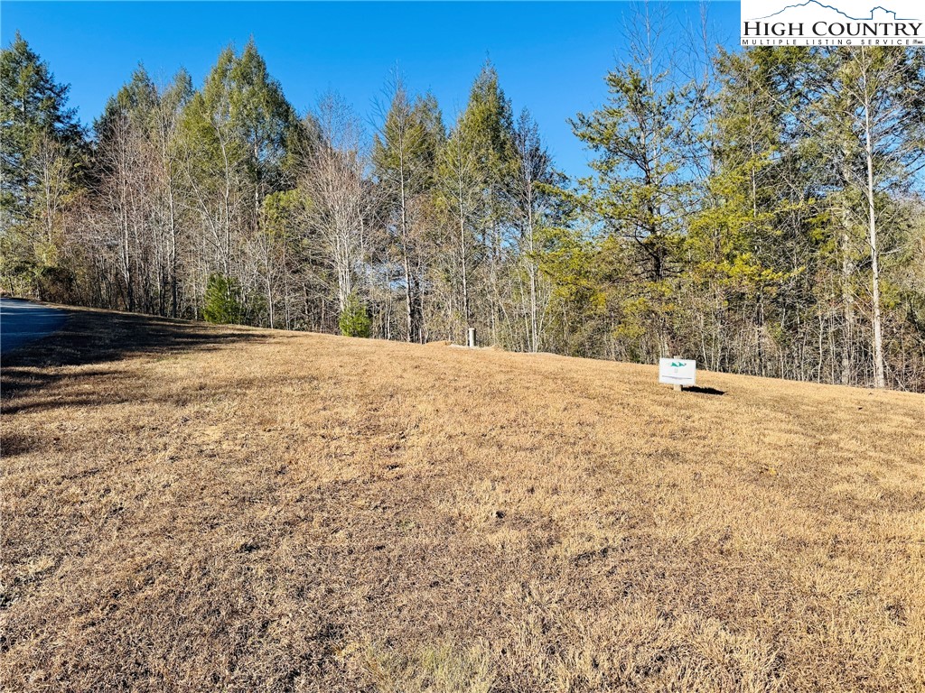 1.3 acres 1362 Round Mountain Parkway