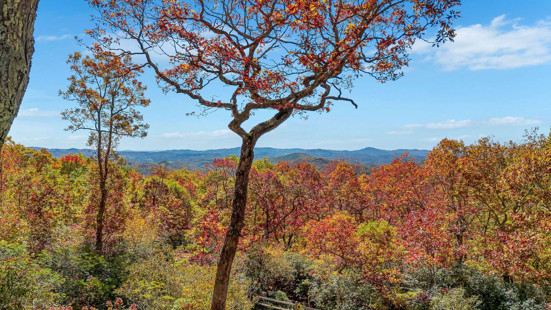 Wake up to a view of Grandfather Mountain!