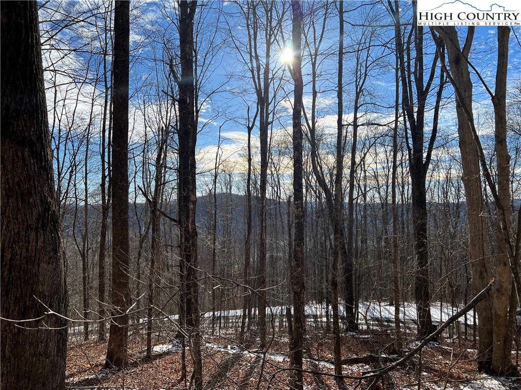 Lot 60 Elk Creek Mountain Parkway