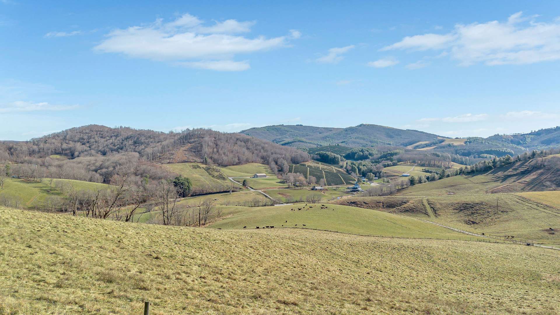 Eagle eye view from your mountain retreat.