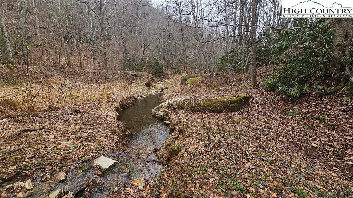 00 Brook View Trail