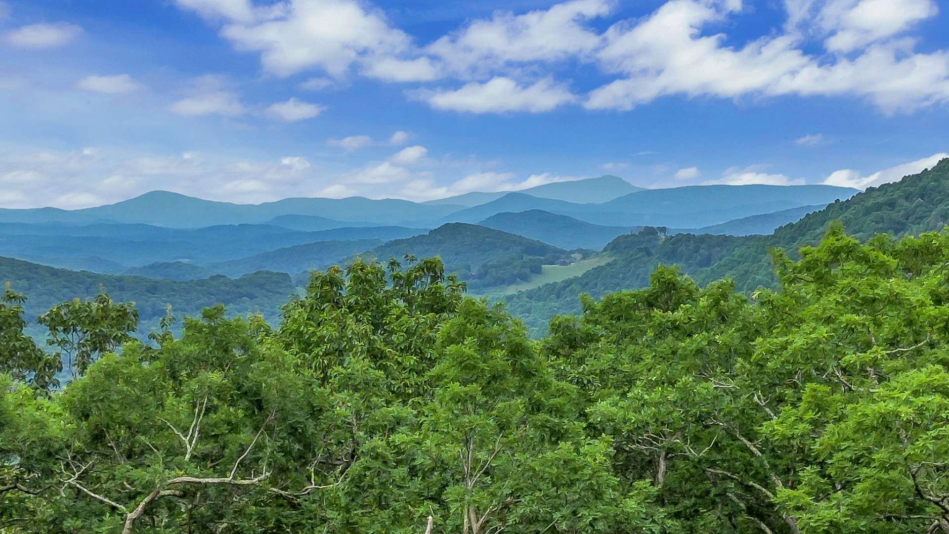 Wake up to a view of Grandfather Mountain!