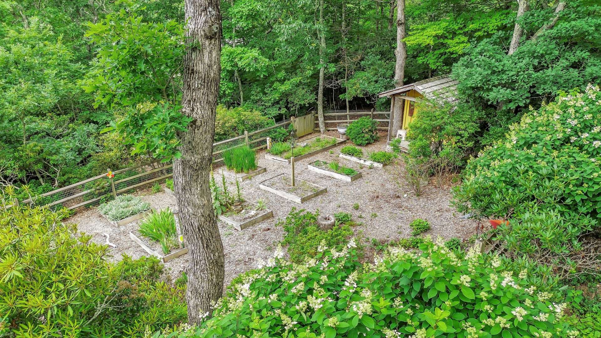 The fenced backyard is ideal for gardening and/or pets.