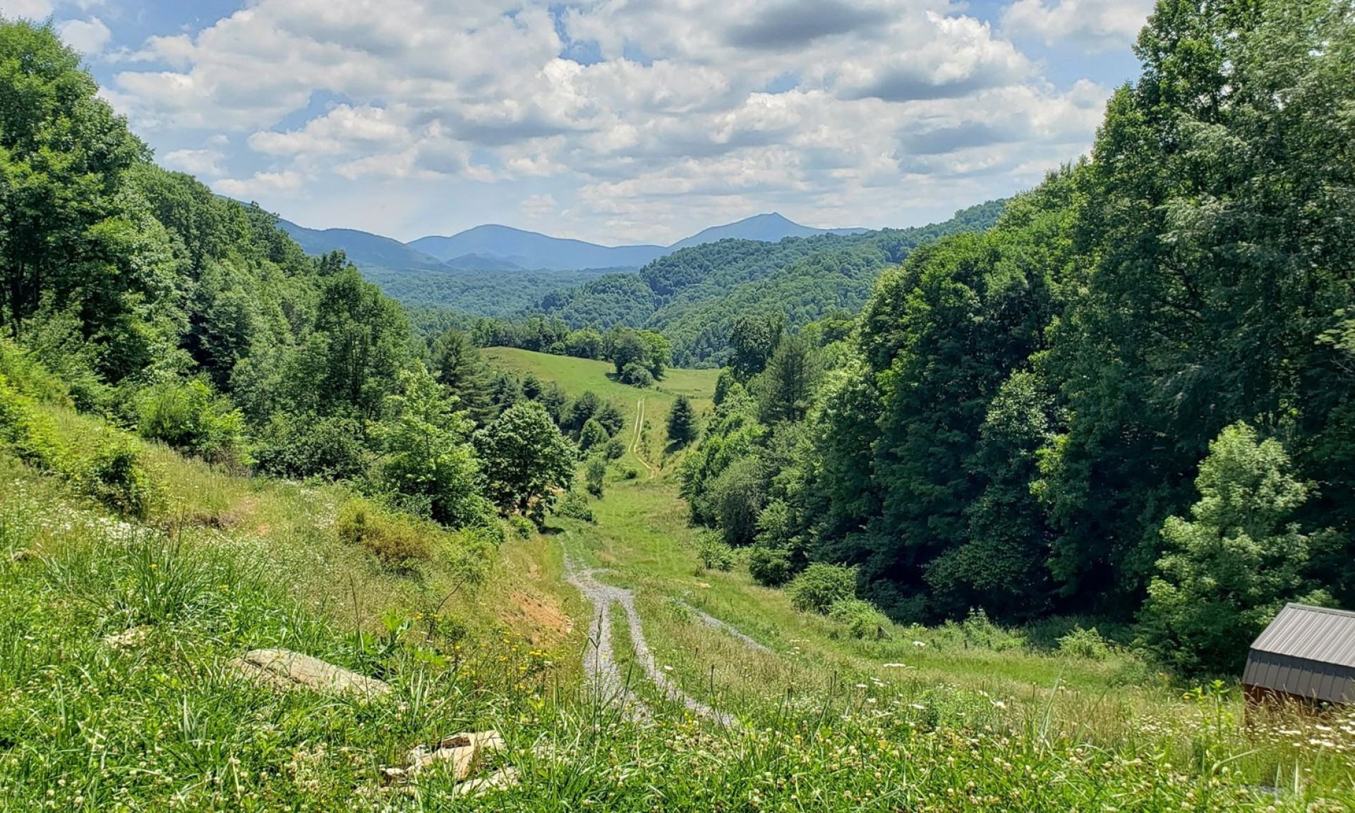 Creston NC Mountain Acreage