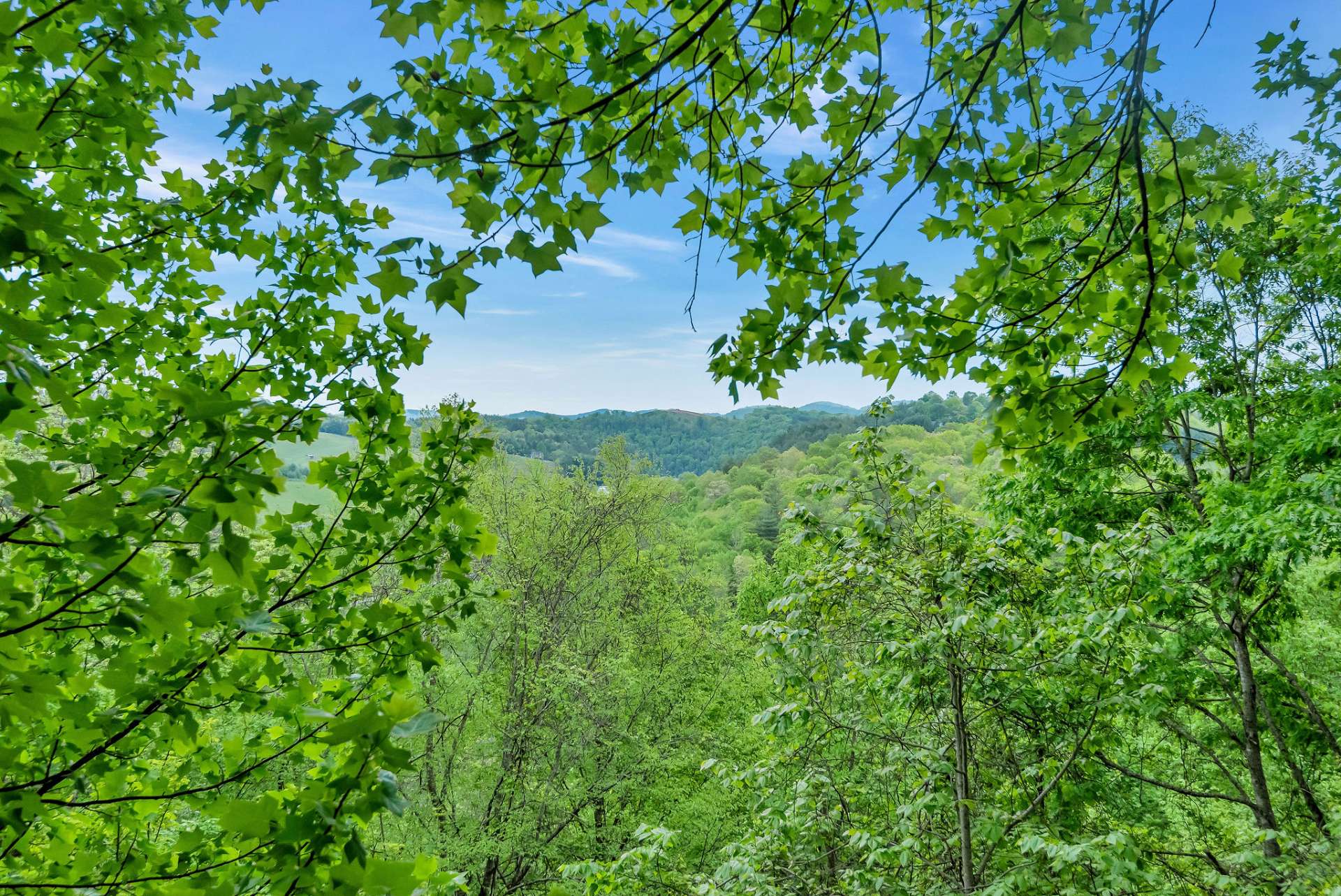 Seasonal mountain and river views