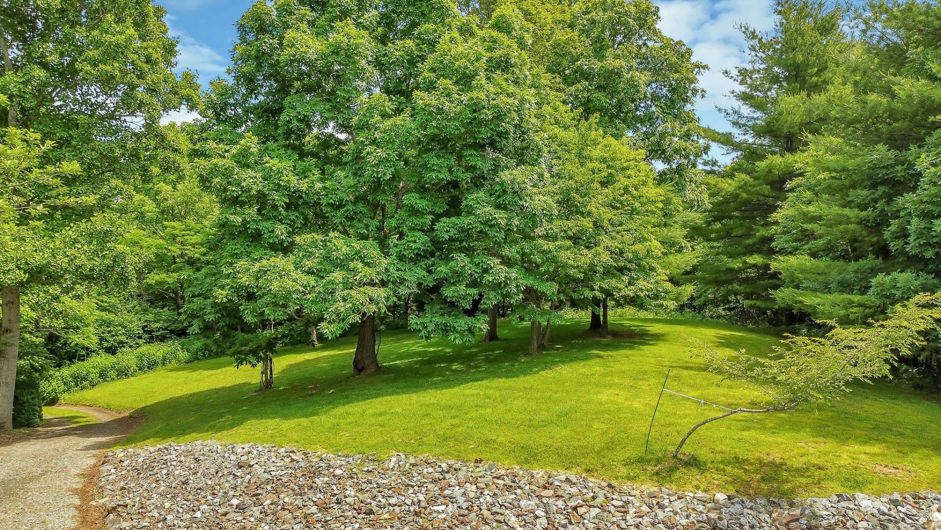 This grassy, sunny hillside is ideal for gardening enthusiasts.