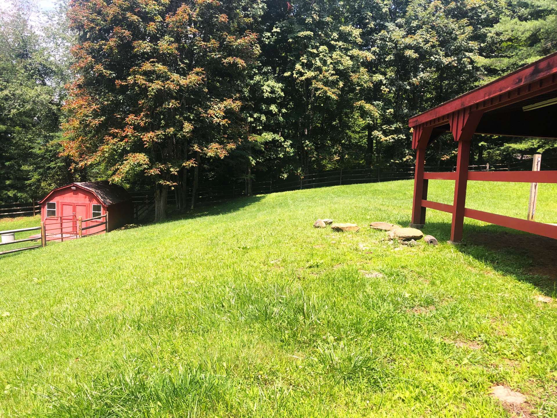 Afternoon shade in the upper pasture which insures the comfort of your livestock