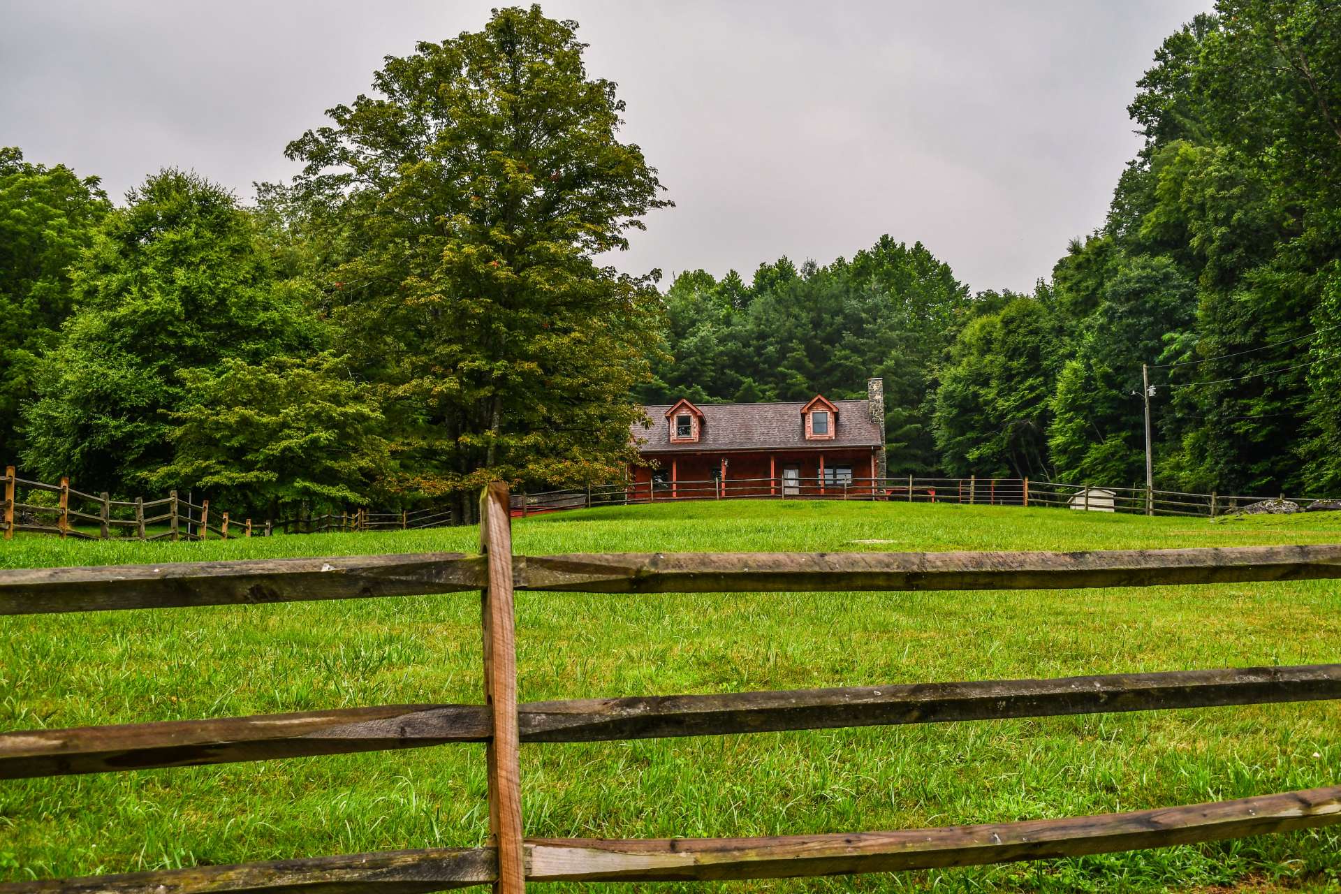 A view from the roadway of the front pasture