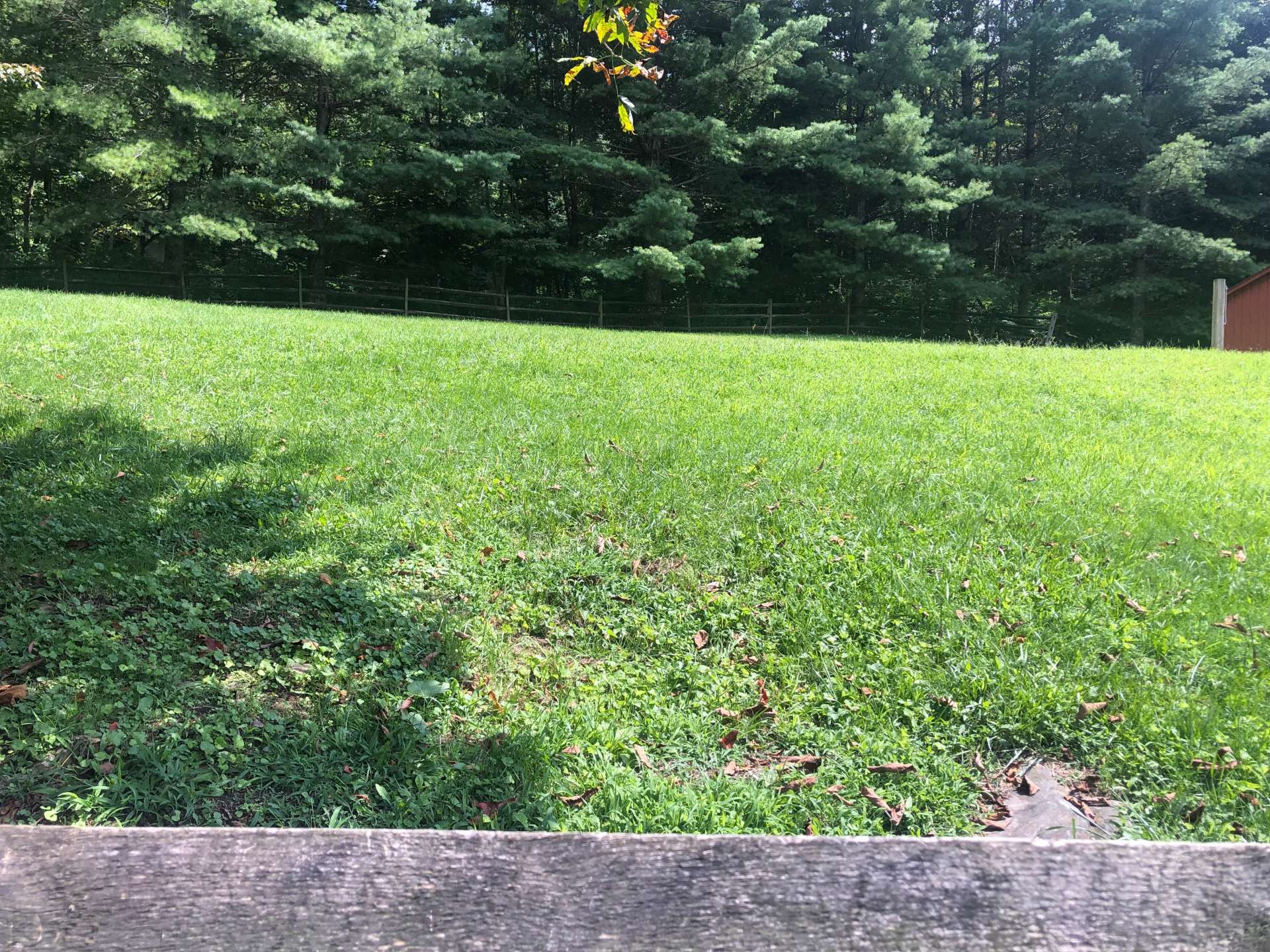 A view from the home toward the back pasture