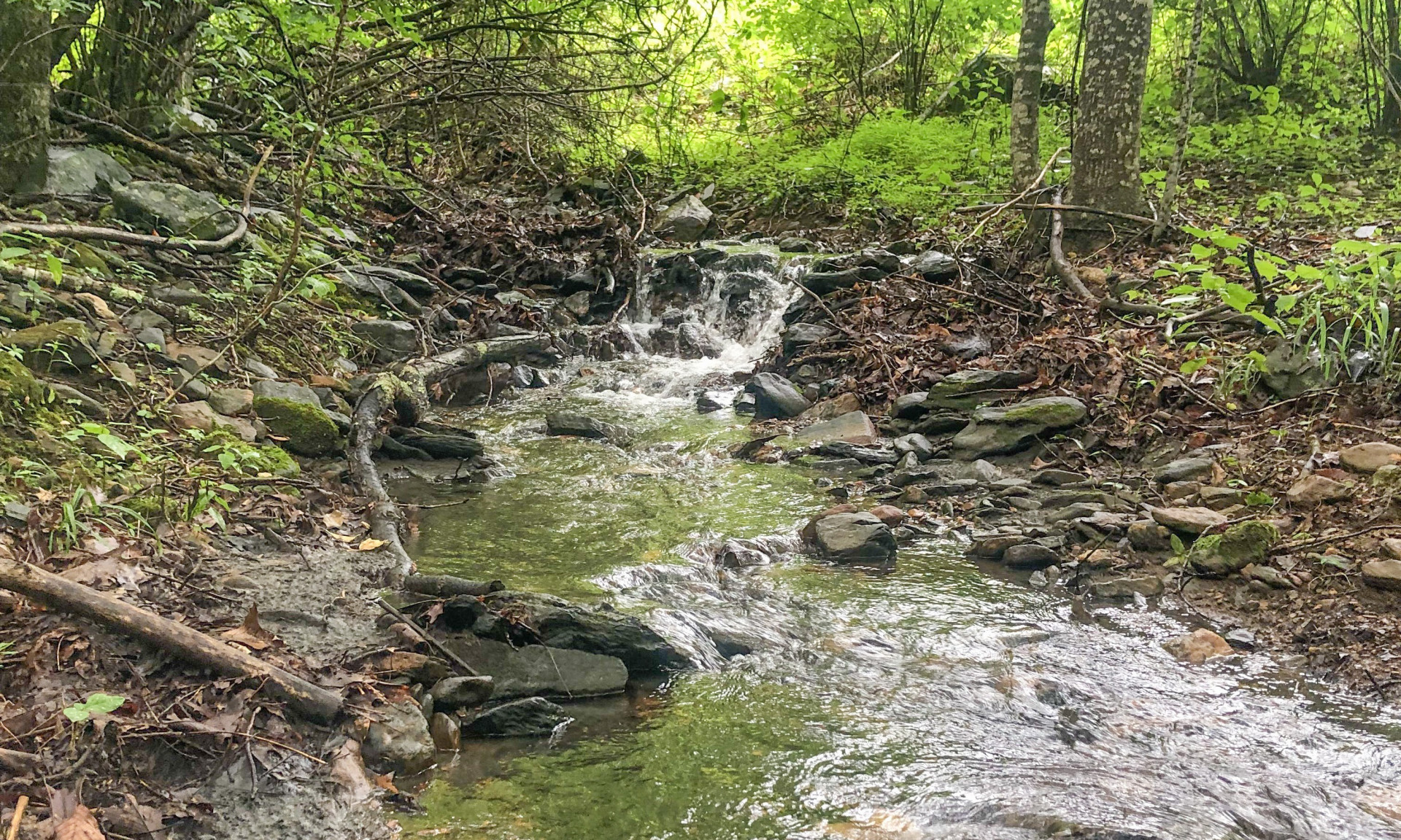 The beauty of a rushing stream on your property