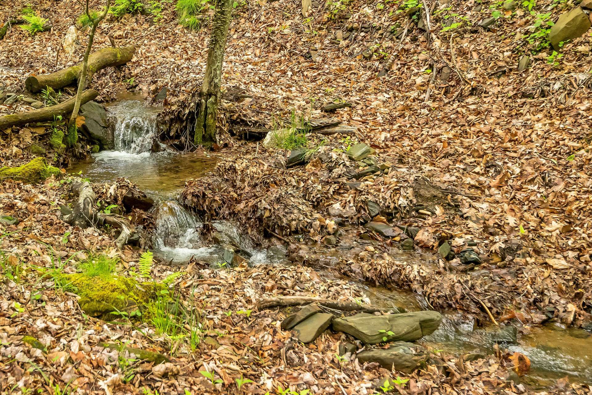 Spend the warm summer days treasure hunting in the cool crisp creek.