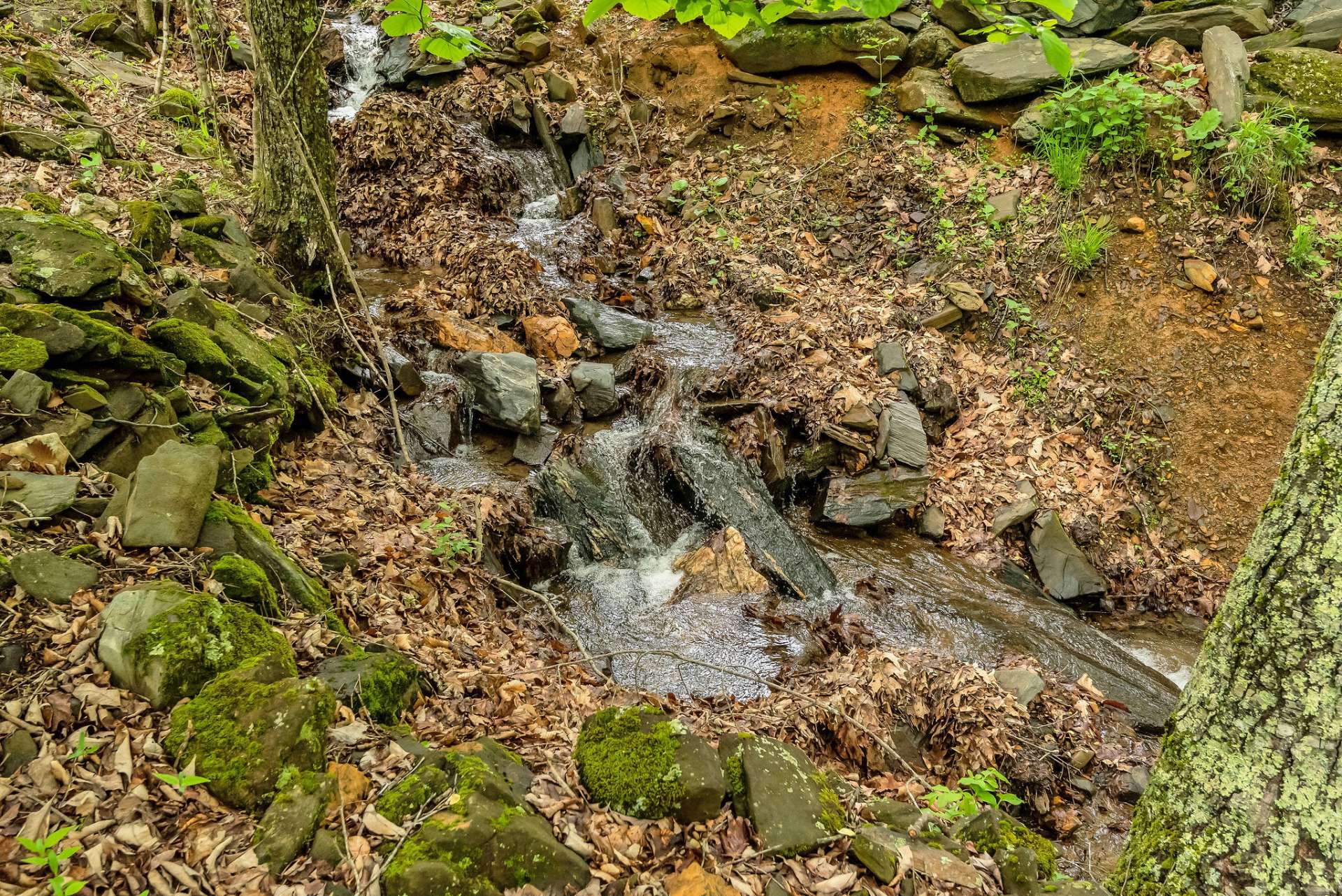 This mountain stream is directly behind the cabin and features multiple waterfalls, creating a melody of cascading water that soothes the soul.
