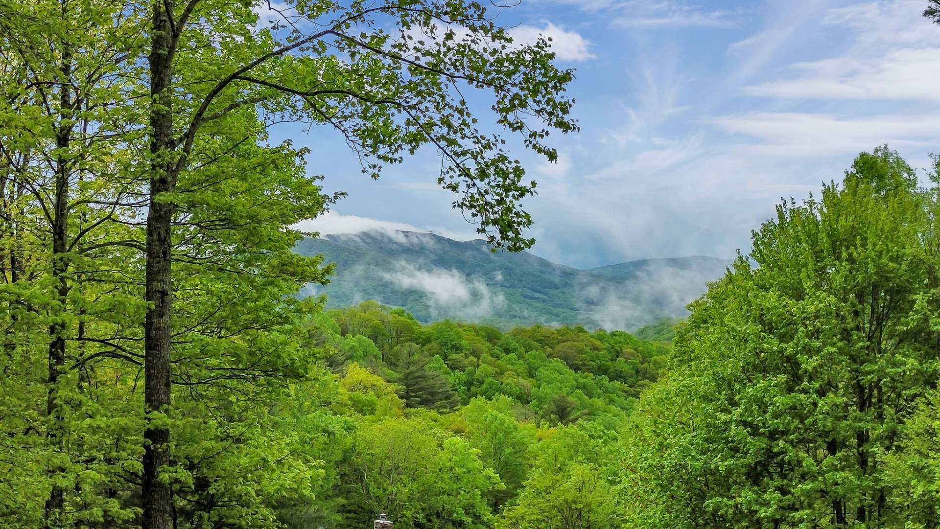 Misty Mountain Mornings.