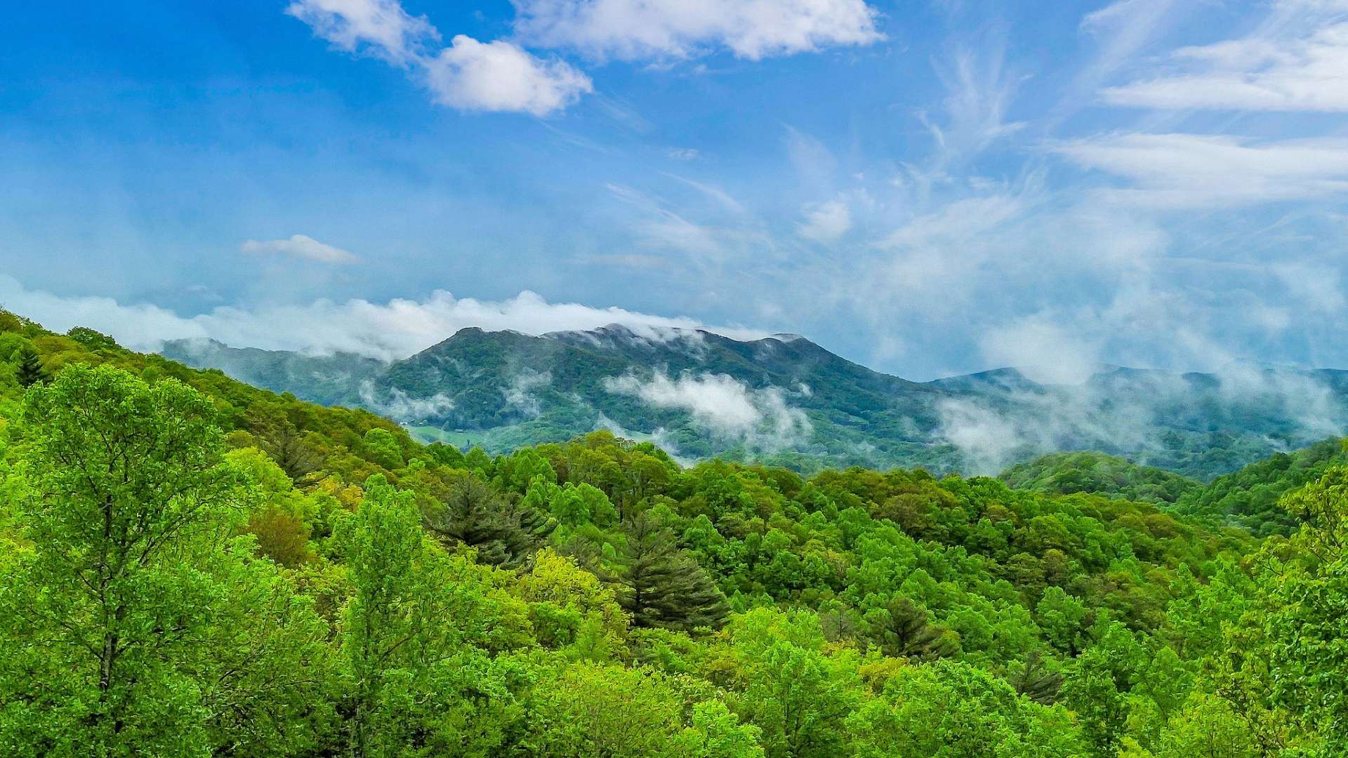 Misty Mountain Mornings.