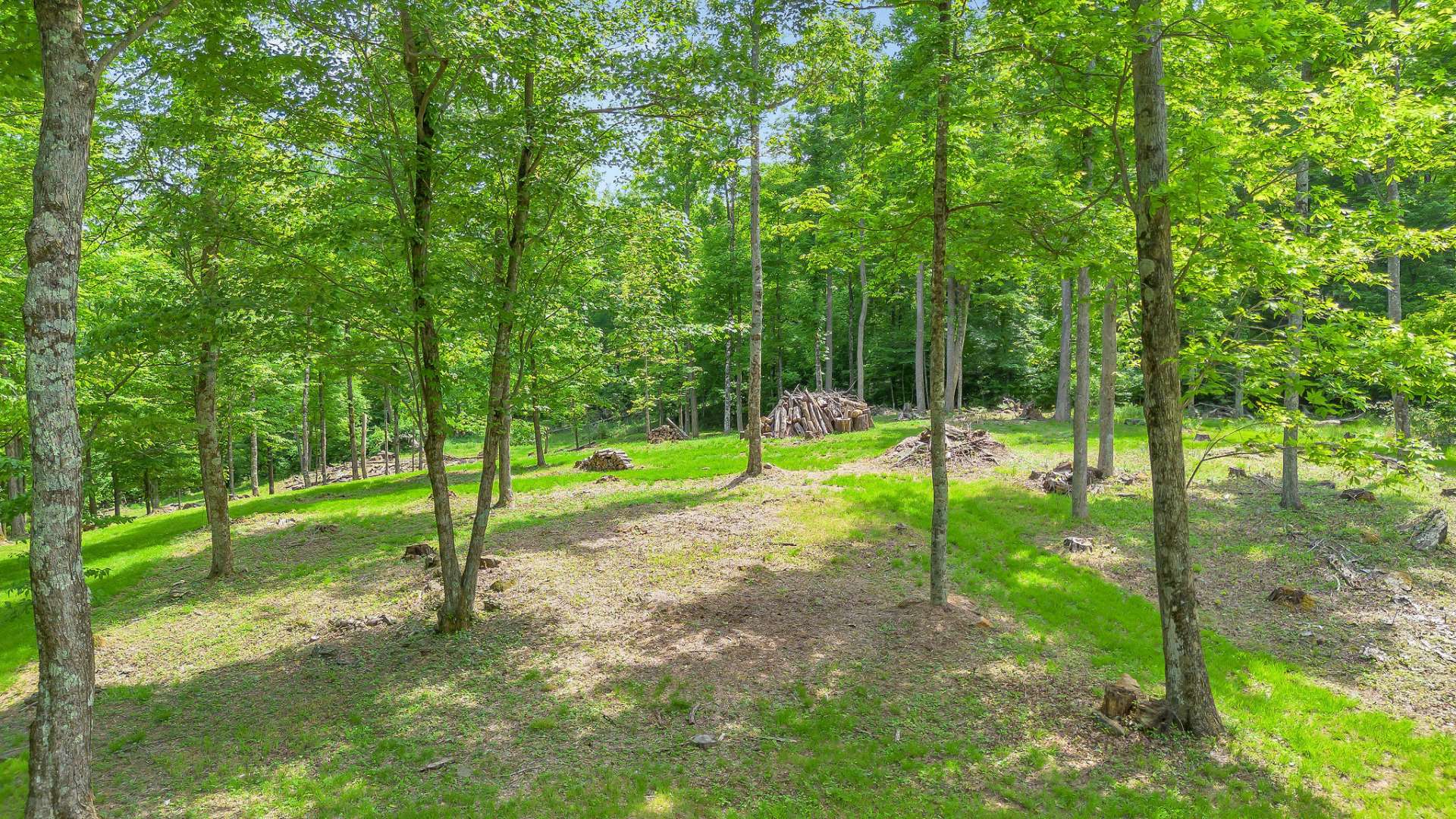 The owner has removed several large trees behind the cabin, allowing for more sunlight and creating a spacious, open area.