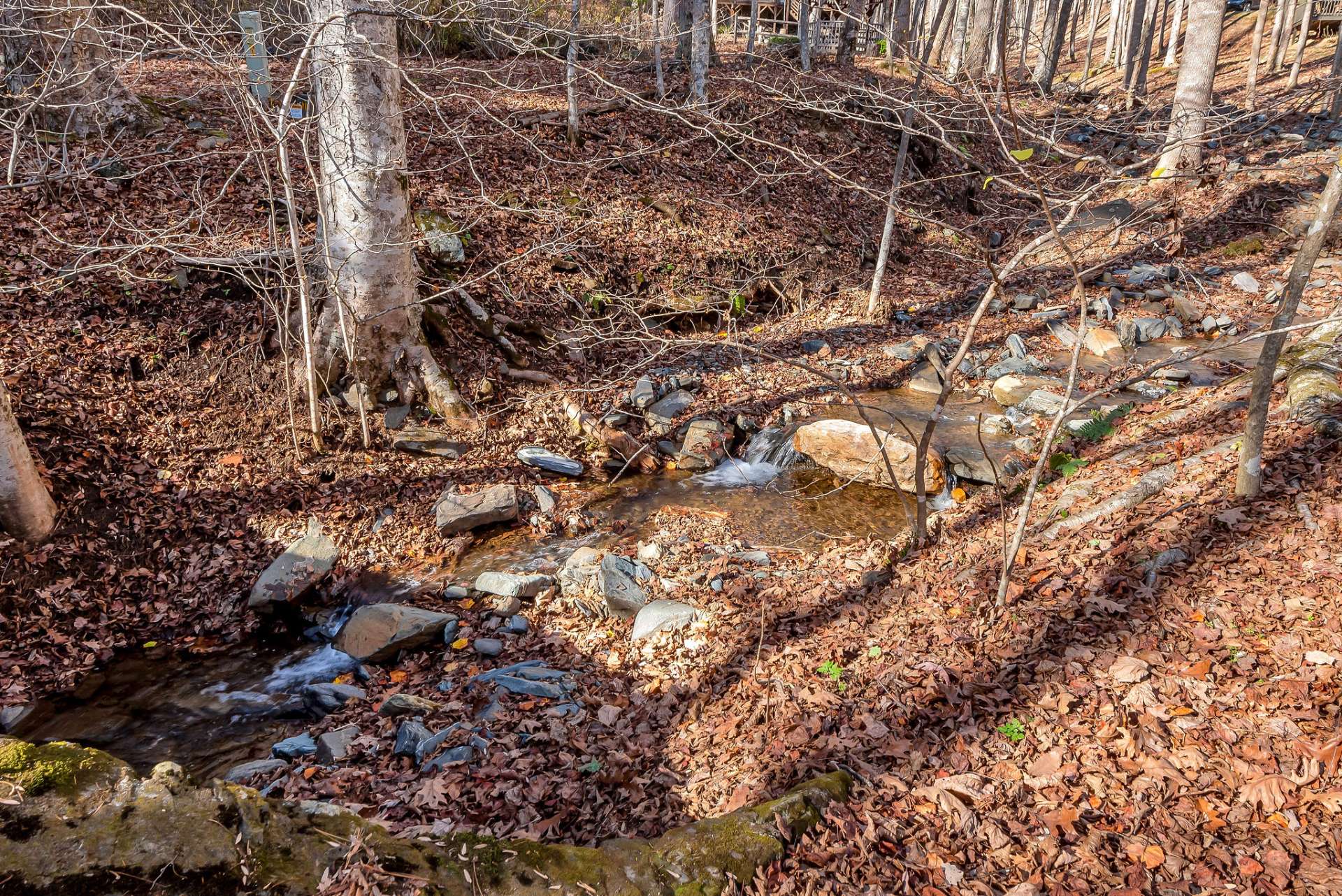 This mountain stream is a ribbon of crystal-clear water cascading down the rugged terrain of a mountainside. Dancing over smooth, moss-covered stones and tumbling playfully over rocks, creating a soft, bubbling sound that echoes through the forest....