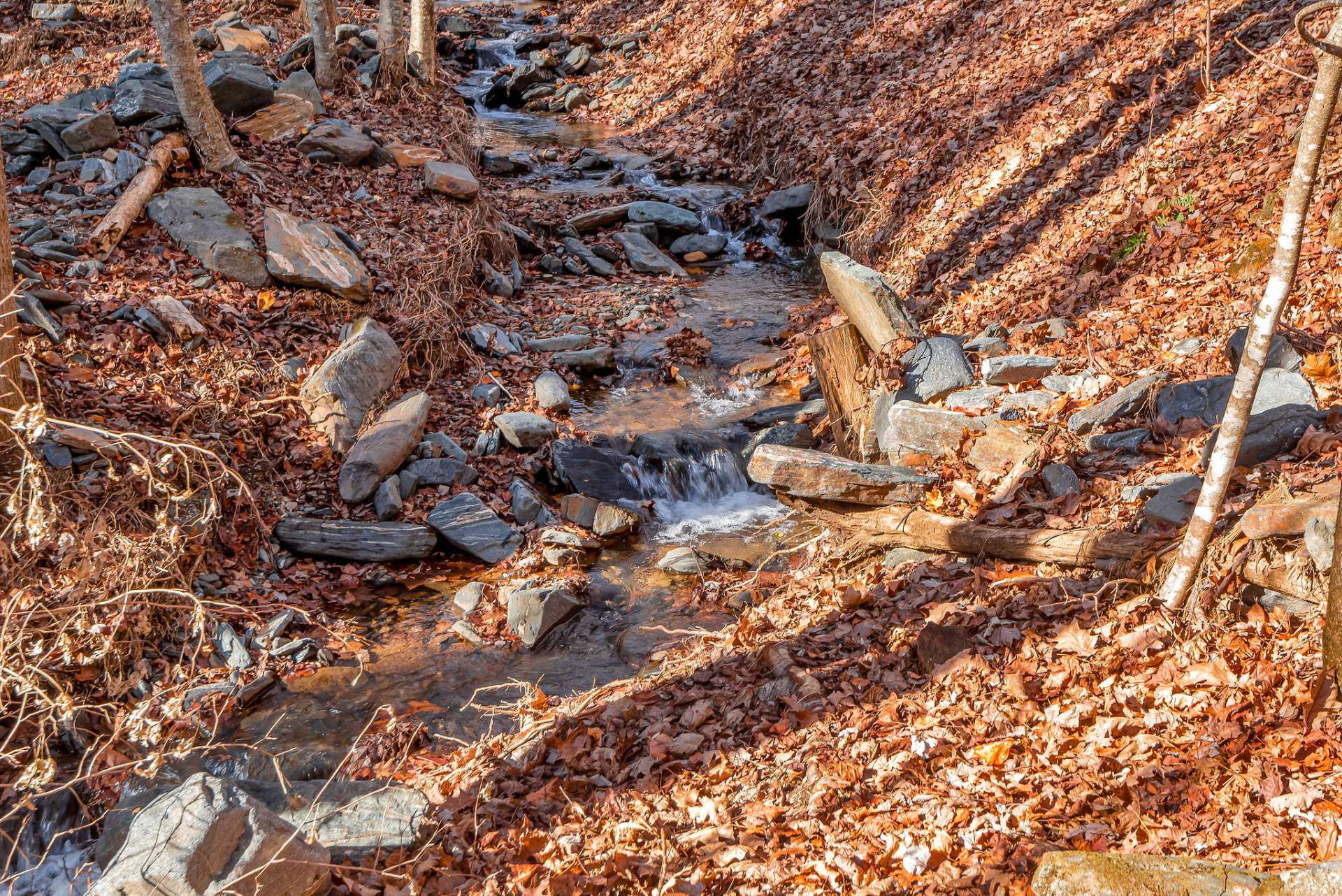 Spend the warm summer days treasure hunting in the cool crisp creek.