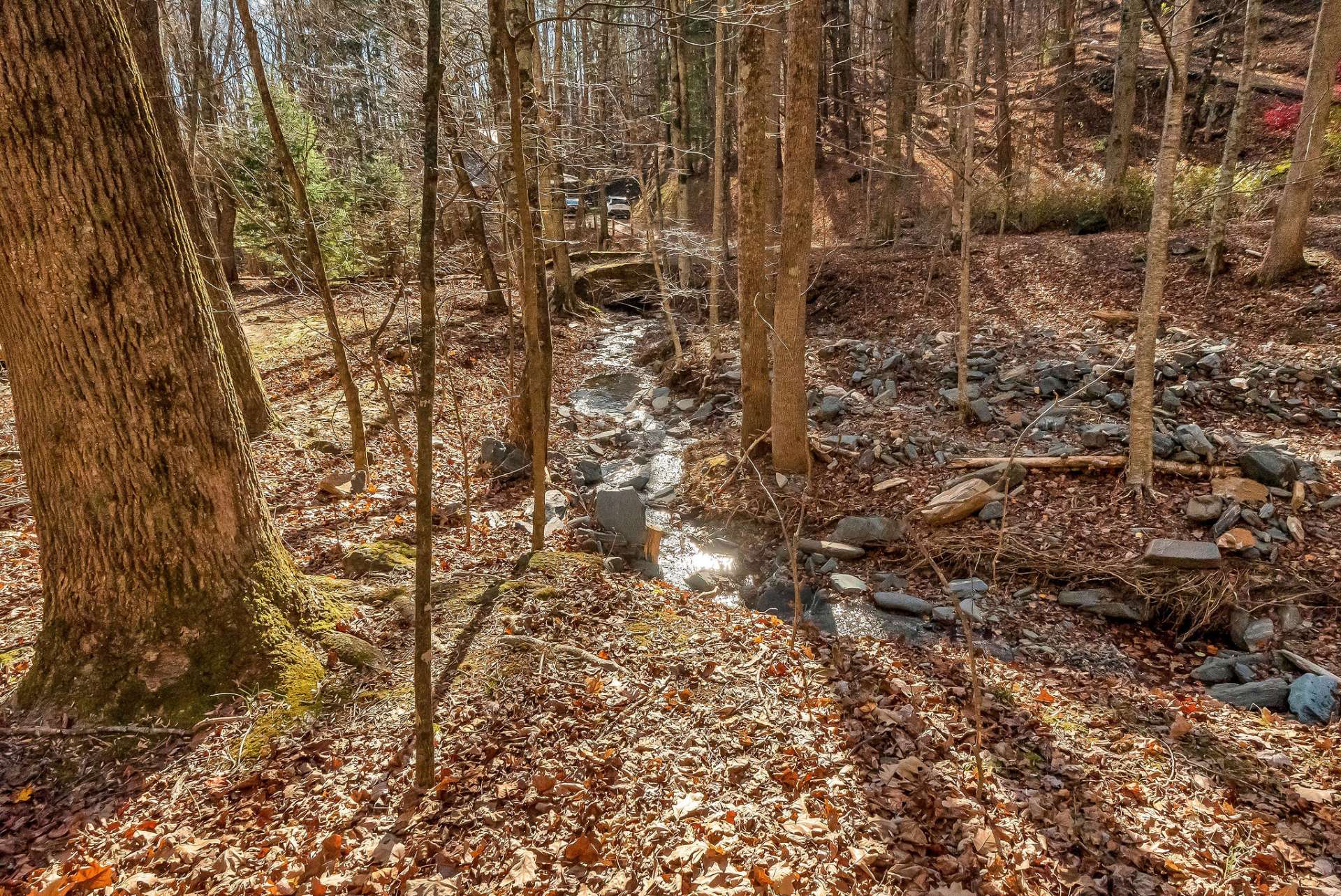 The meandering creek beckons you to the water’s edge, offering a peaceful spot for moments of calm and reflection.