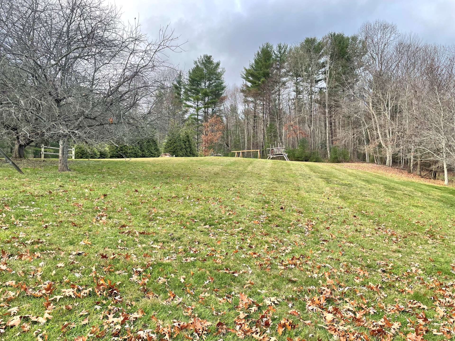 Large yard space for gardens and play