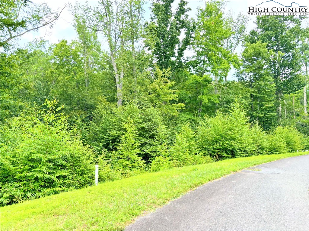 Lot 11 Linville River Drive