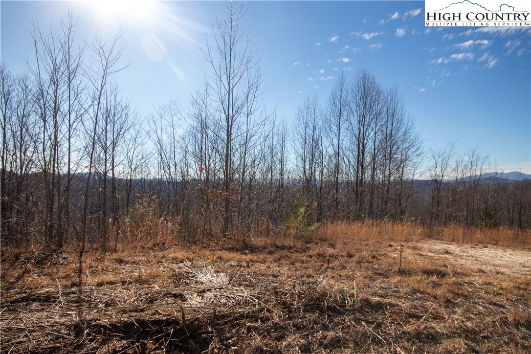 Lot# 134 Fire Crest Lane