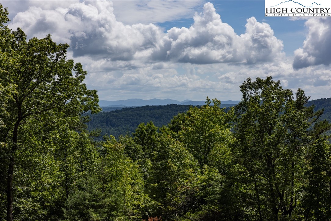 Lot 158 Chestnut Mountain Farms Parkway