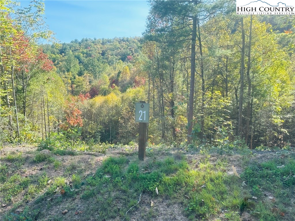 Lot 21 High Forest Trail