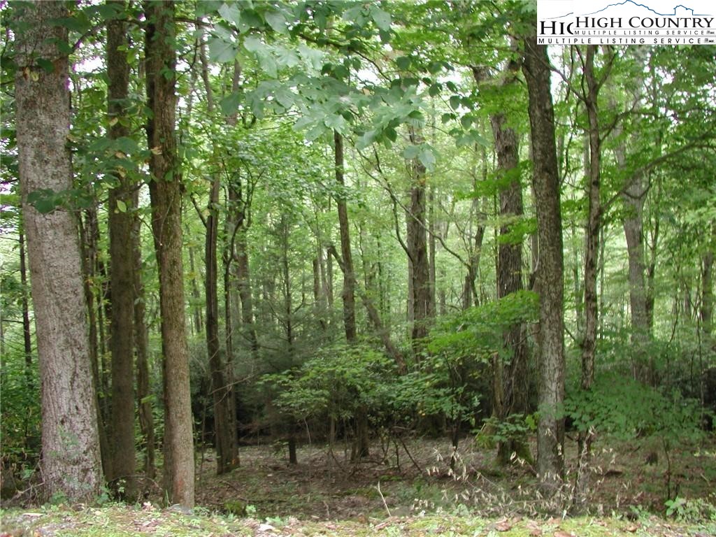 Lot 27 Lost Ridge Trail