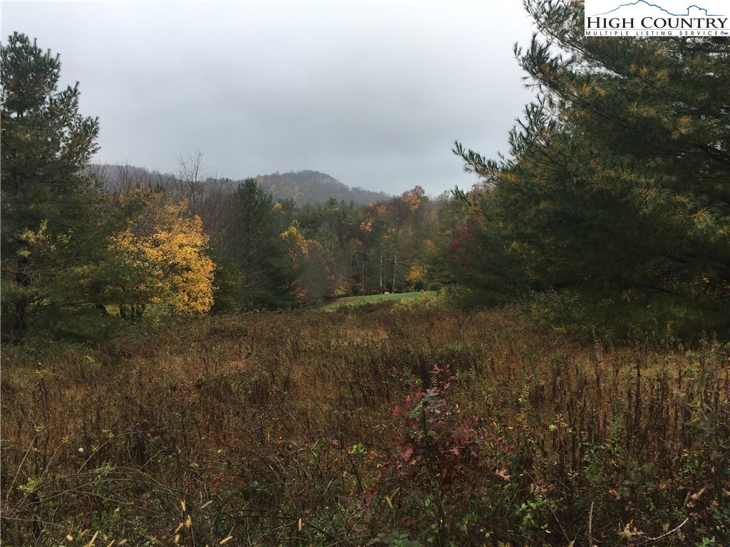 Lot #45, Sec. 1 Tom's Knob Road