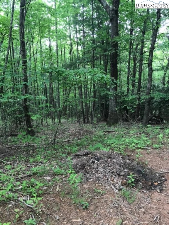 Lot 48 White Tail Road