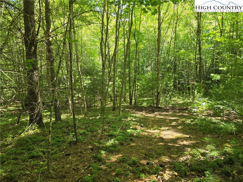 Lot 50 Deer Spring Ln/White Tail Trail