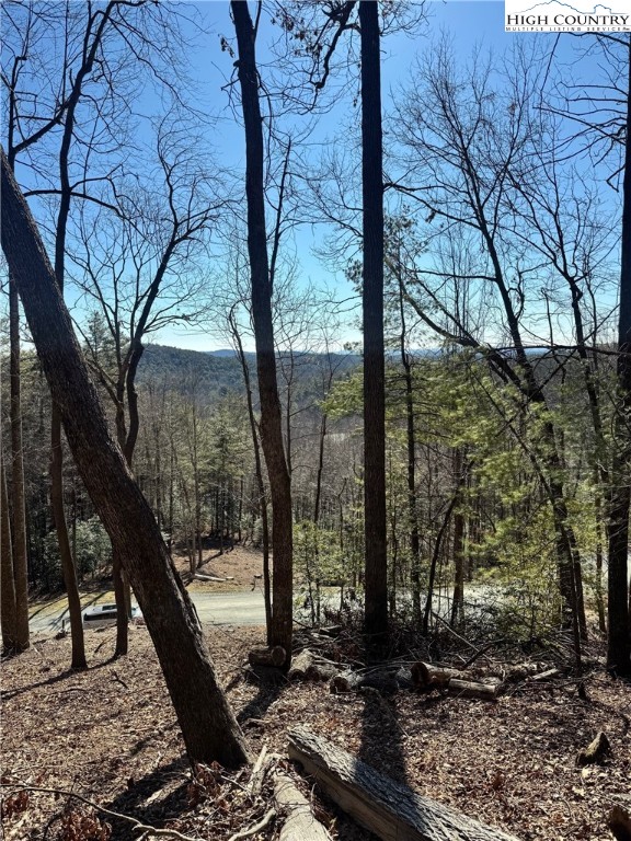 Lot 54 Wildcat Wilderness Parkway