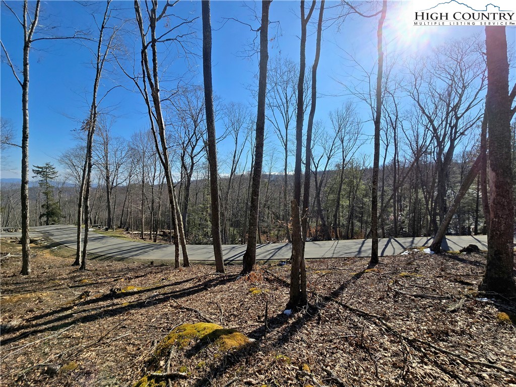 Lot 90 Eagles Nest Trail