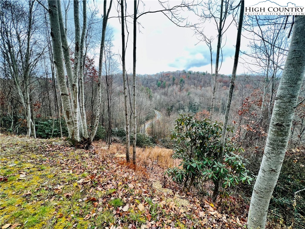 Lot 99 Beaver Dam Road