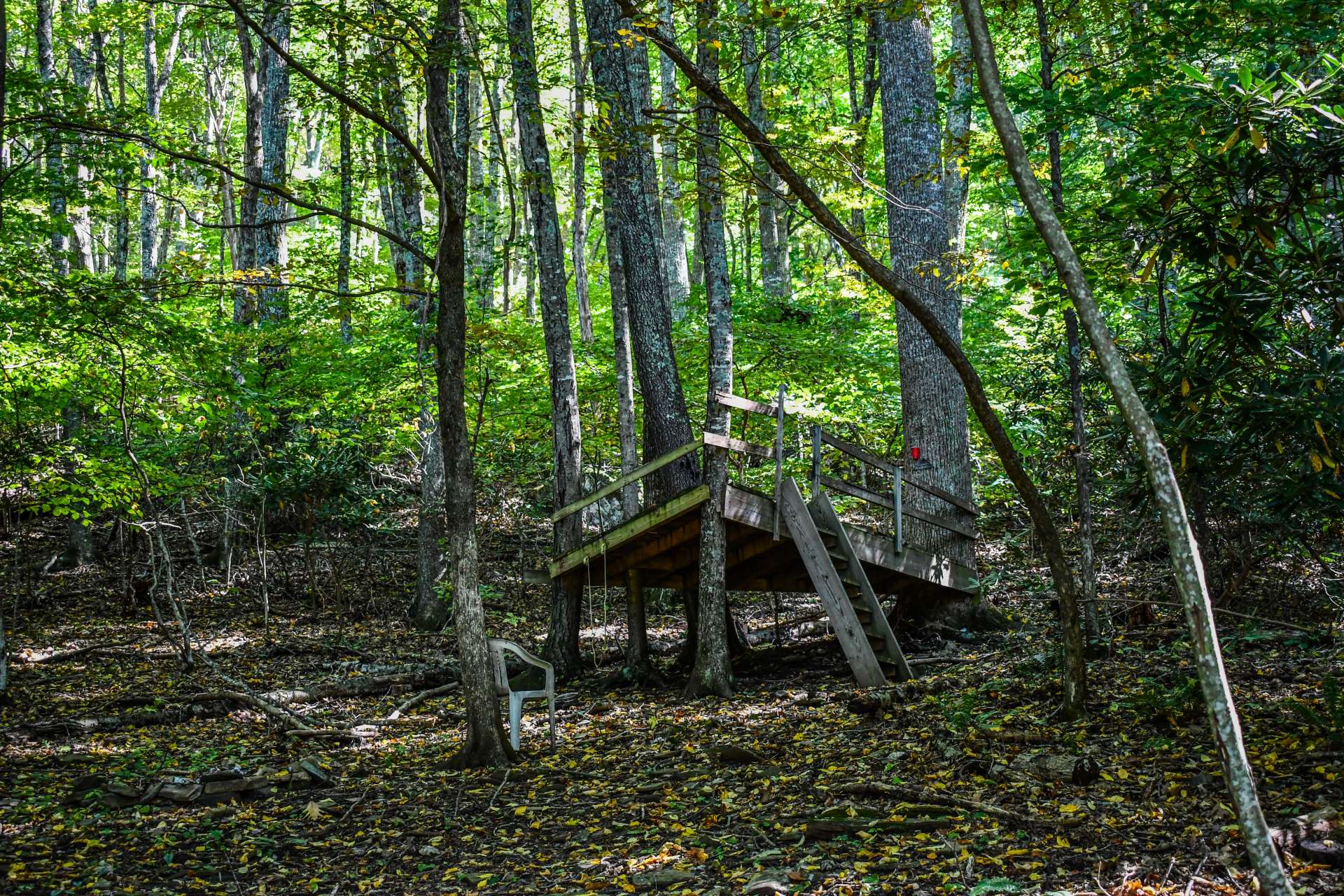 Tree house that awaits your completion