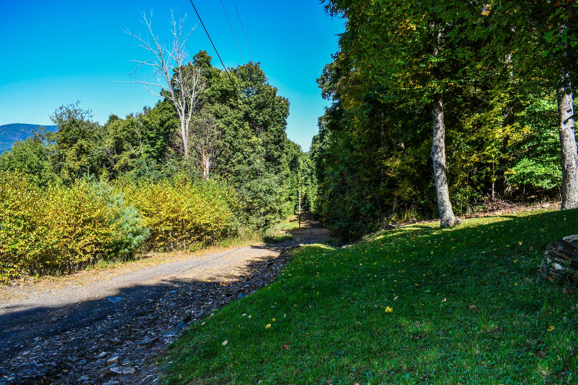 View from the home down the private gravel access