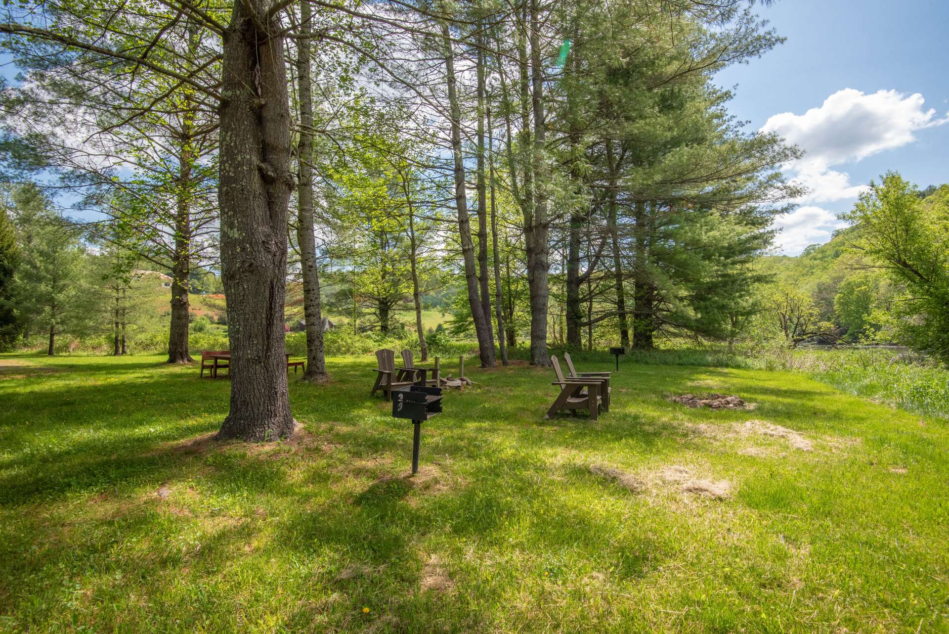 Common Area on the New River with lots of trees, picnic space and more!