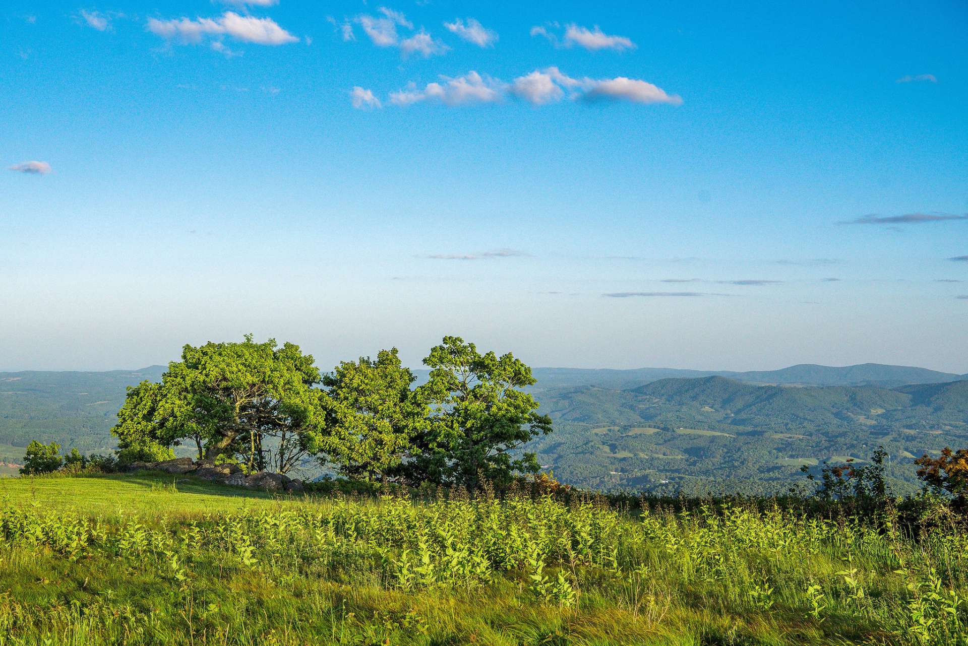 Panoramic long-range views, high elevations, and southern exposure.