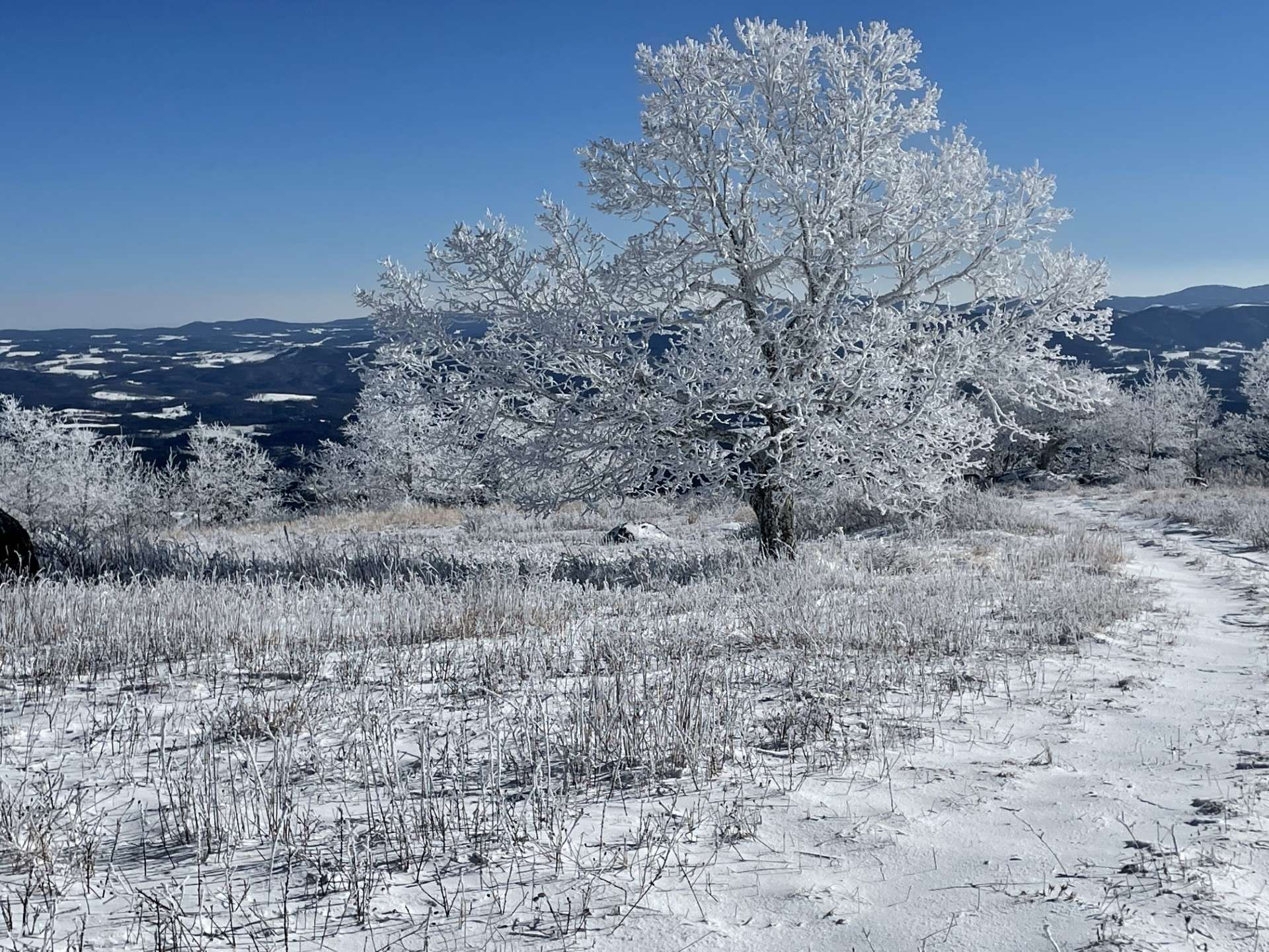 This photo provided by the owner depicts the setting in Winter. Simply a winter wonderland.