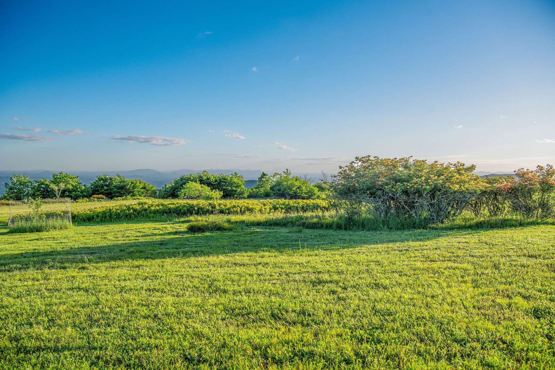 Phenomenal mountain vistas, sunrises, and sunsets; native flora like Flame Azaleas, Mountain Ivy, and diverse mountain foliage.