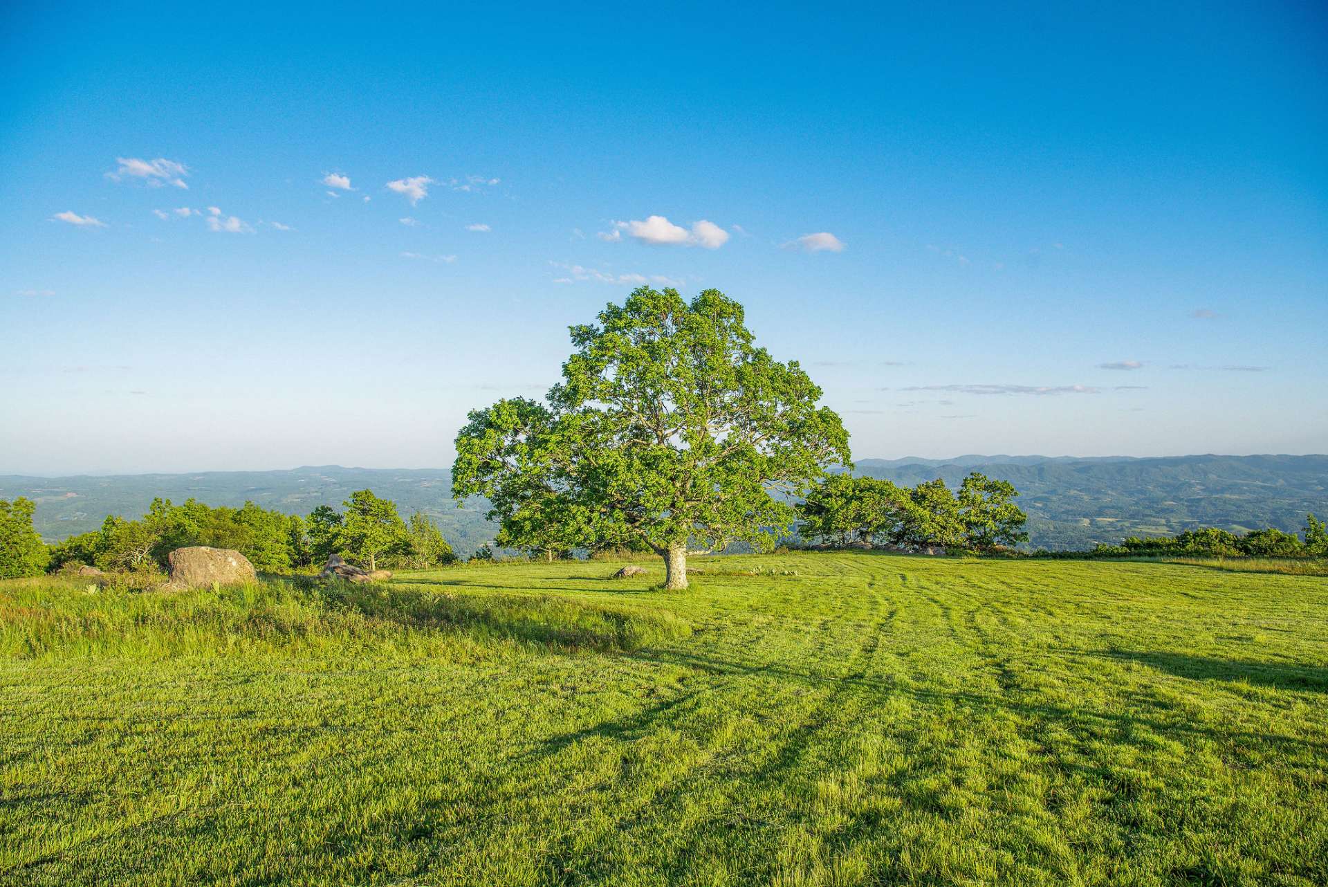 No Neighbors in sight. Just views and Nature's bounty.