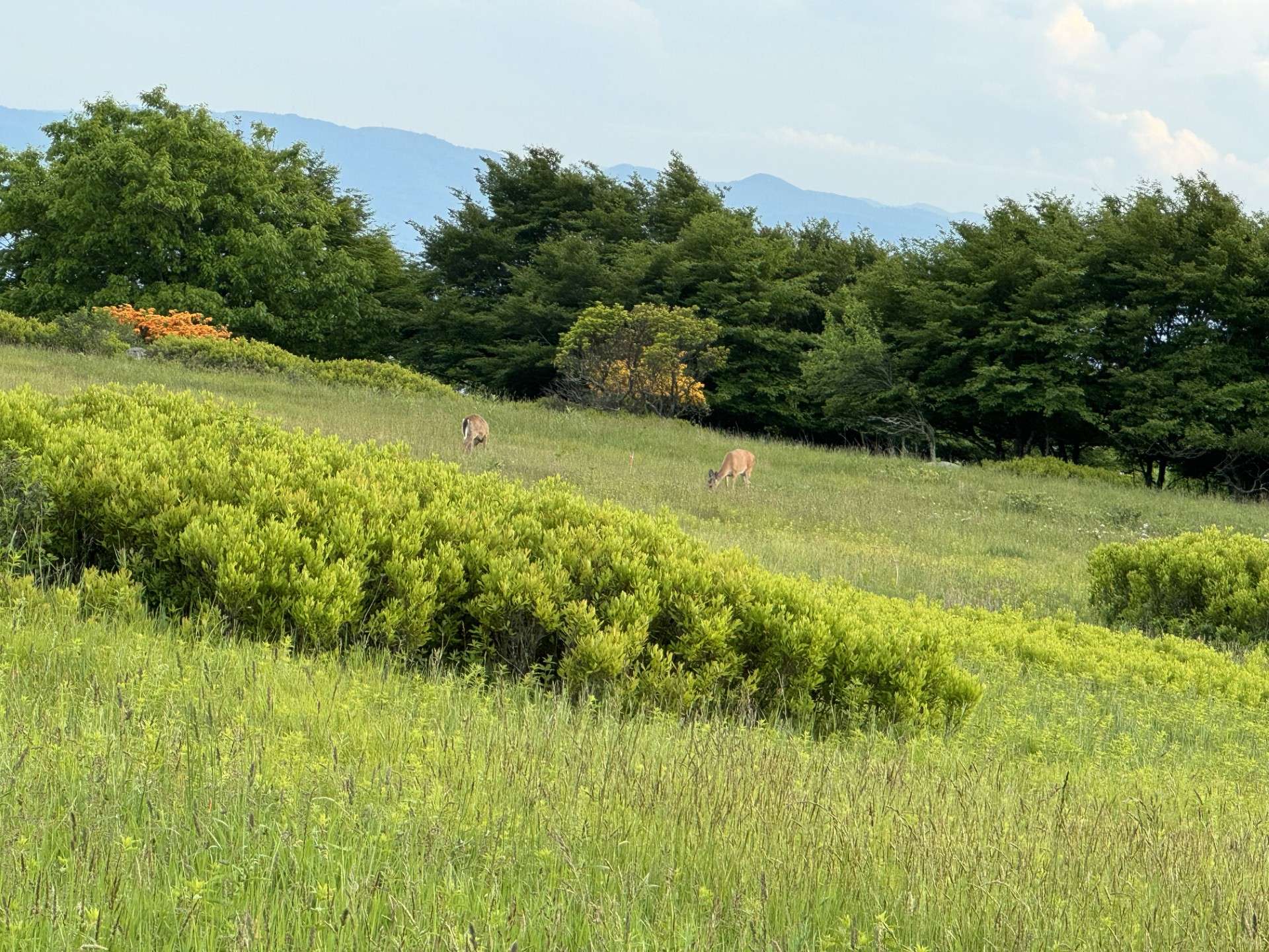 Breathtaking views, unique rock formations, and abundant wildlife.