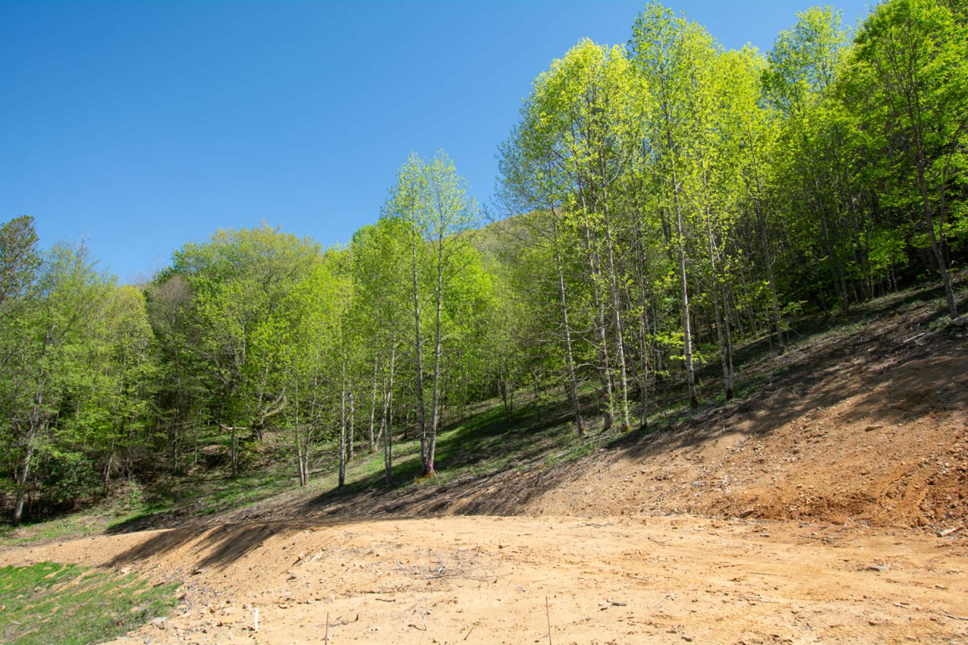 Driveway leading away from building site