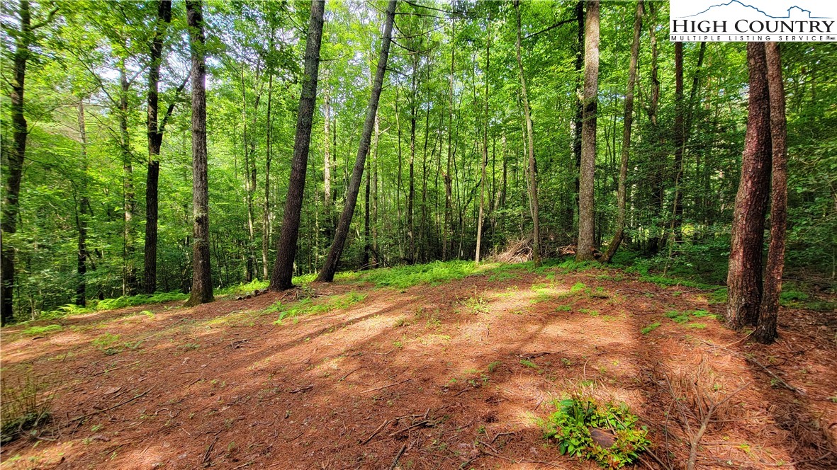 TBD Bewer Mill Road/Lil Sandy Creek Road