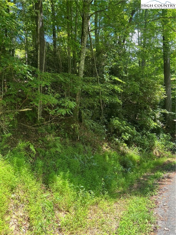 TBD DEEP GAP ESTATES Road