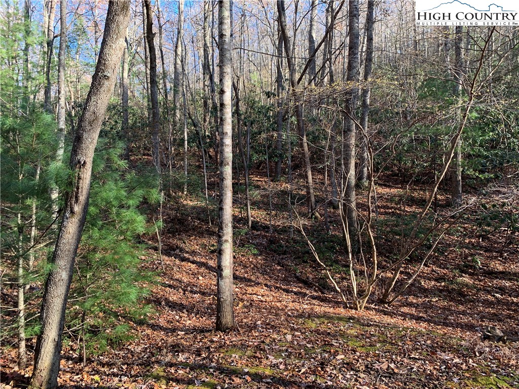 TBD (Lot 1) Dugger Firetower Road