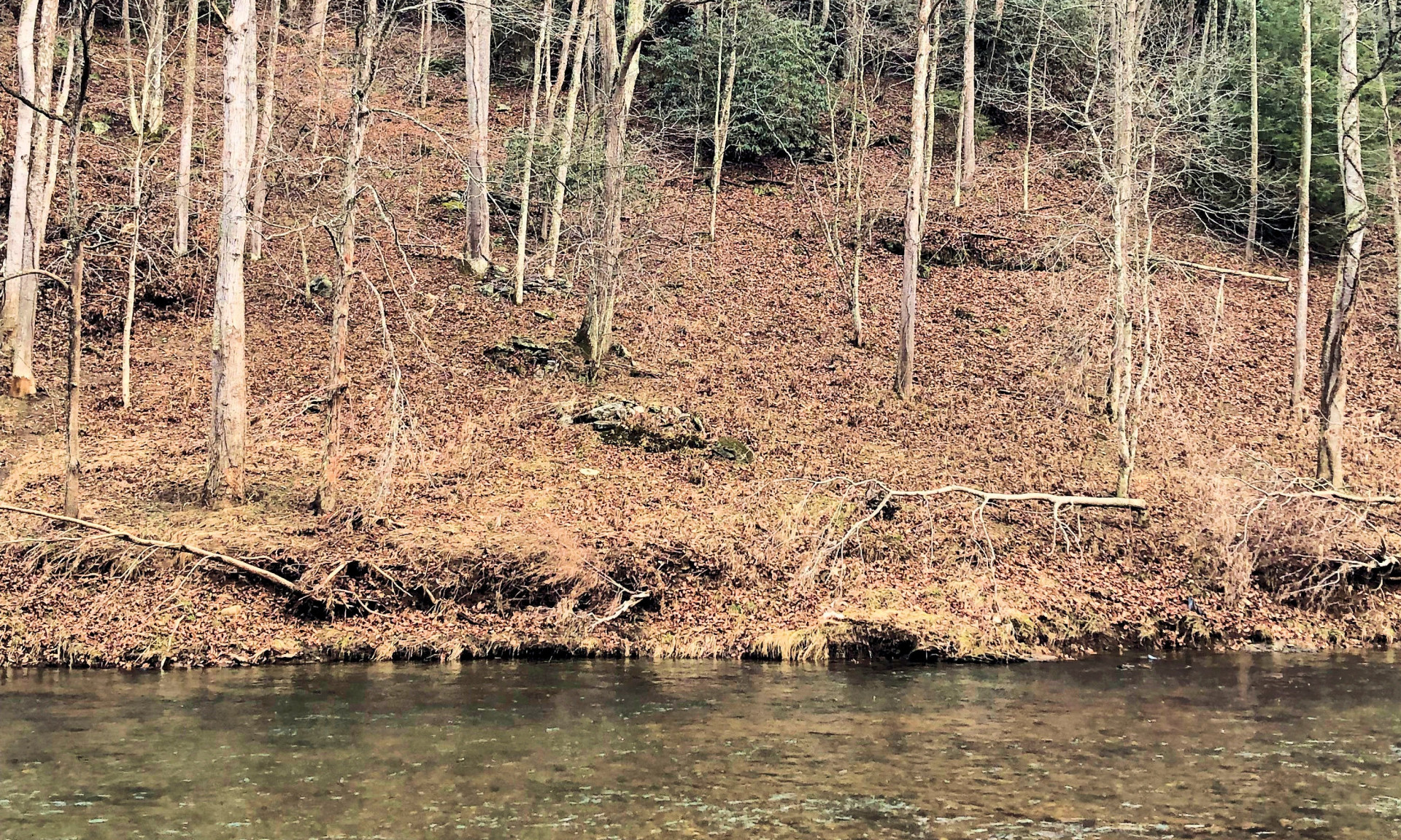 Unrestricted NC Mountain Riverfront Land